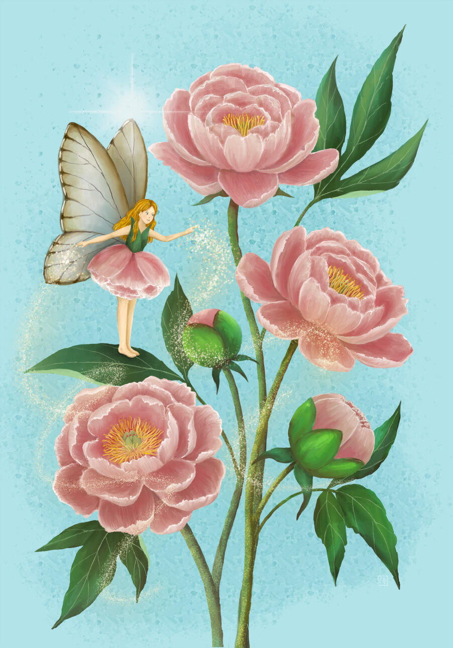 Peony Fairy Magic