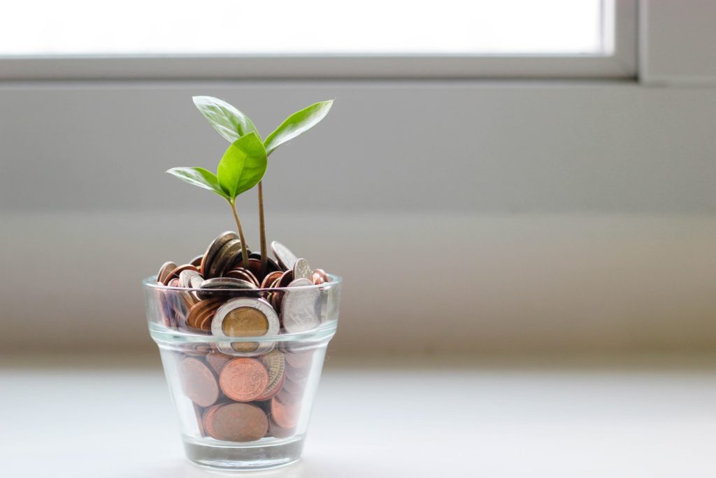 seedling growing out of a cup of coins