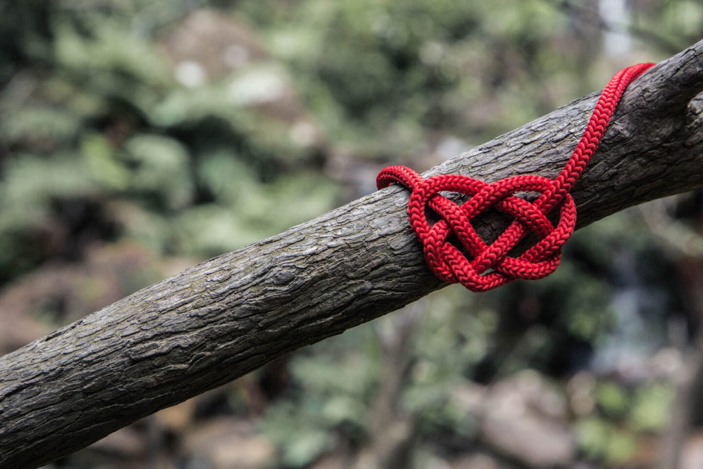 red string knotted into heart shape on a tree branch