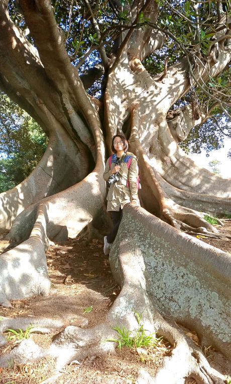 woman standing beside a big tree with long roots